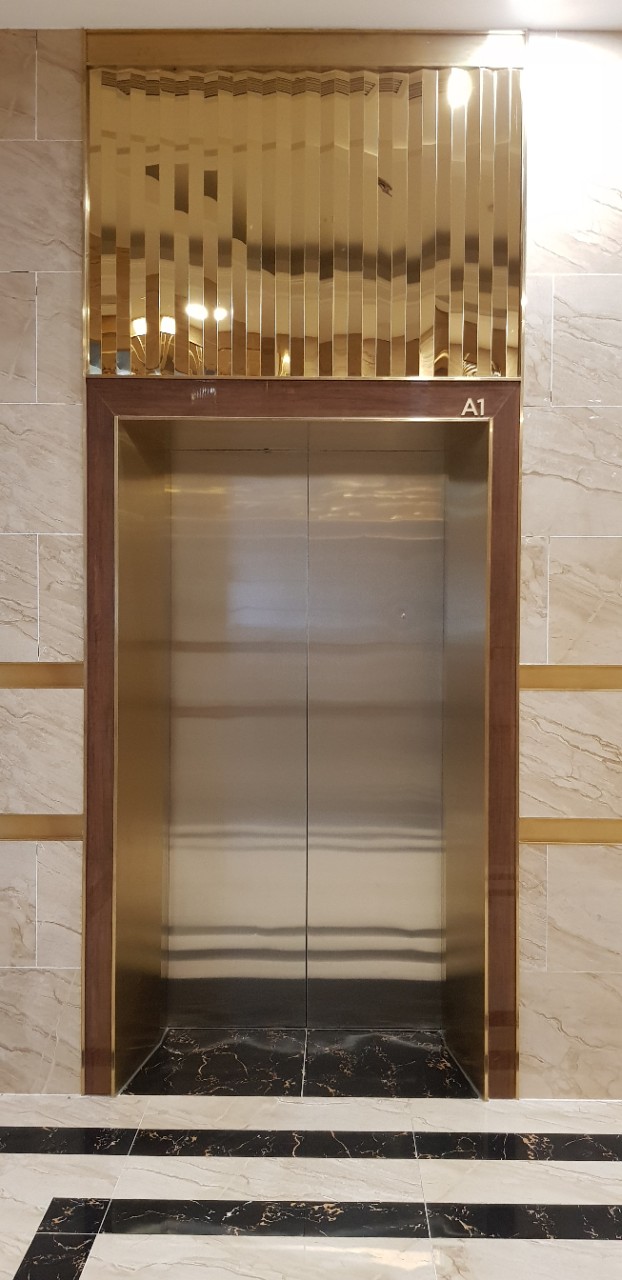 CỬA TẦNG THANG MÁY INOX LUXURY