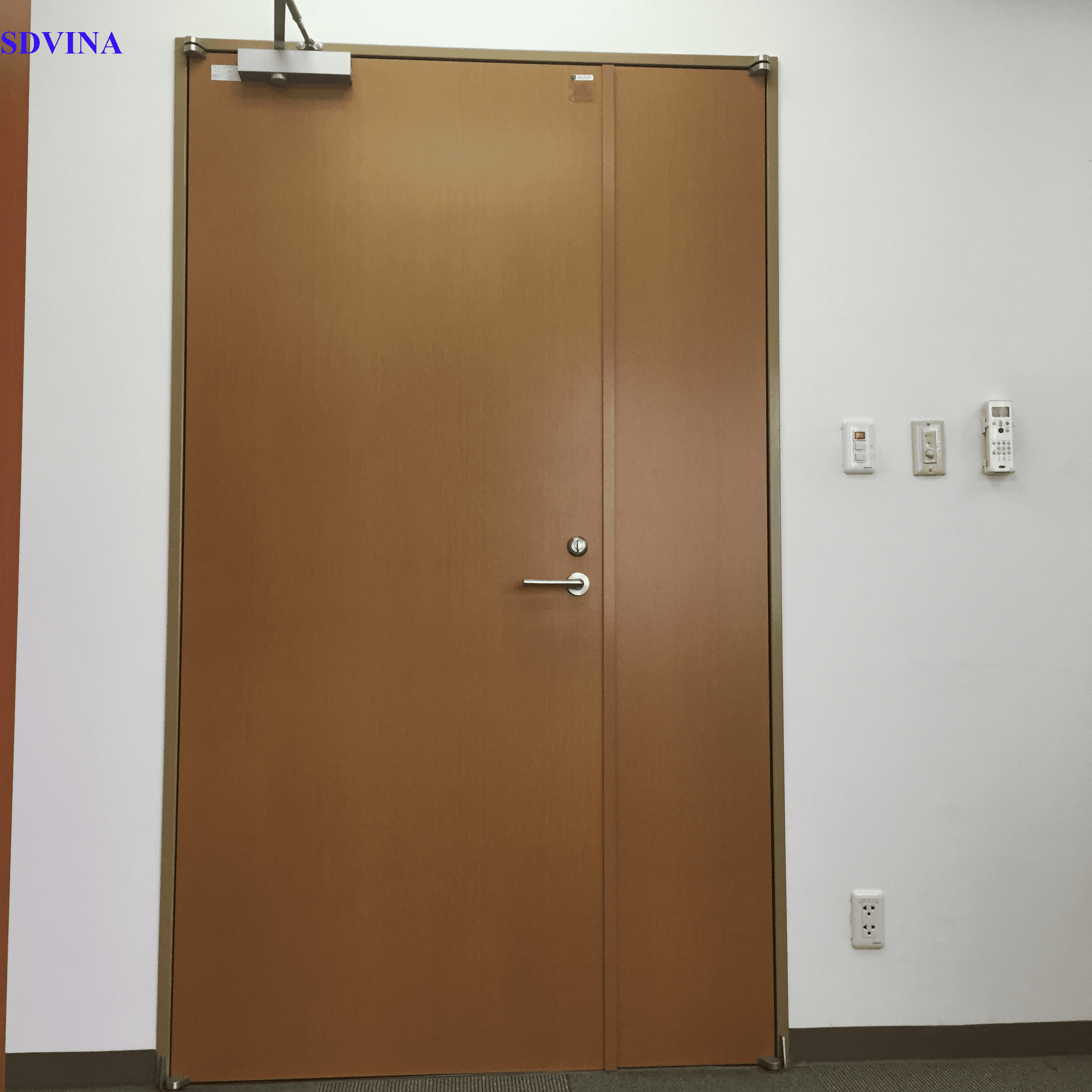 Cửa thép vân gỗ chống cháy 